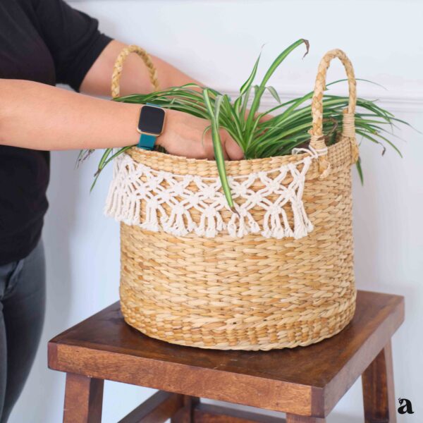 Shvetah - Kauna Grass Planter